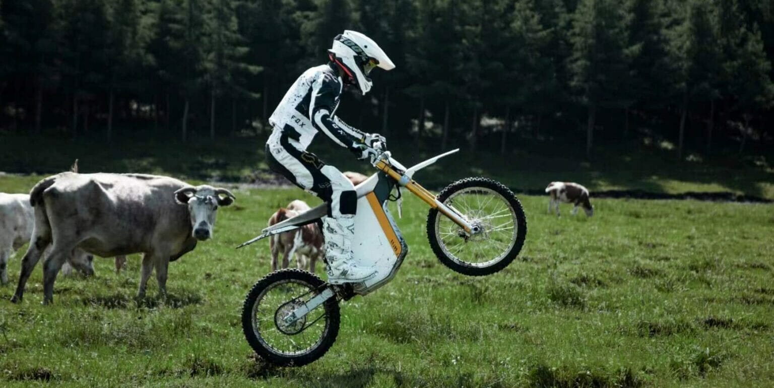 A person wearing motocross gear performs a wheelie on a dirt bike in a grassy field with cows in the background.